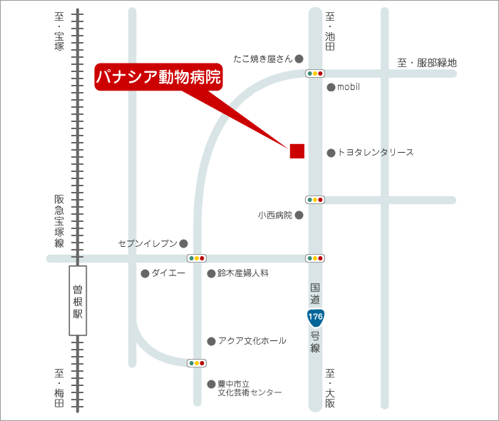 �L���s�]�������̓����a�@[�p�i�V�A�����a�@]�@�n�}